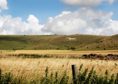 Road Bike Tour in Cotswolds, see White Horse of Pewsey