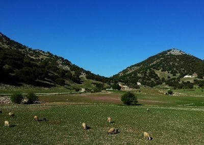Road Bike Tours in Andalucia, Spain - Jaén