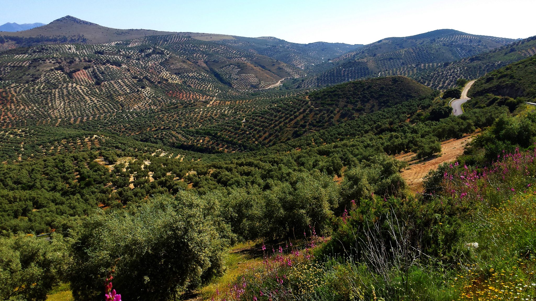 the-best-bike-tours-in-spain-cycling-holidays-spain-cycling-country