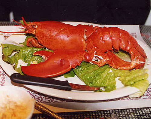 Canada's Cabot Trail Lobster Meal - Cheticamp