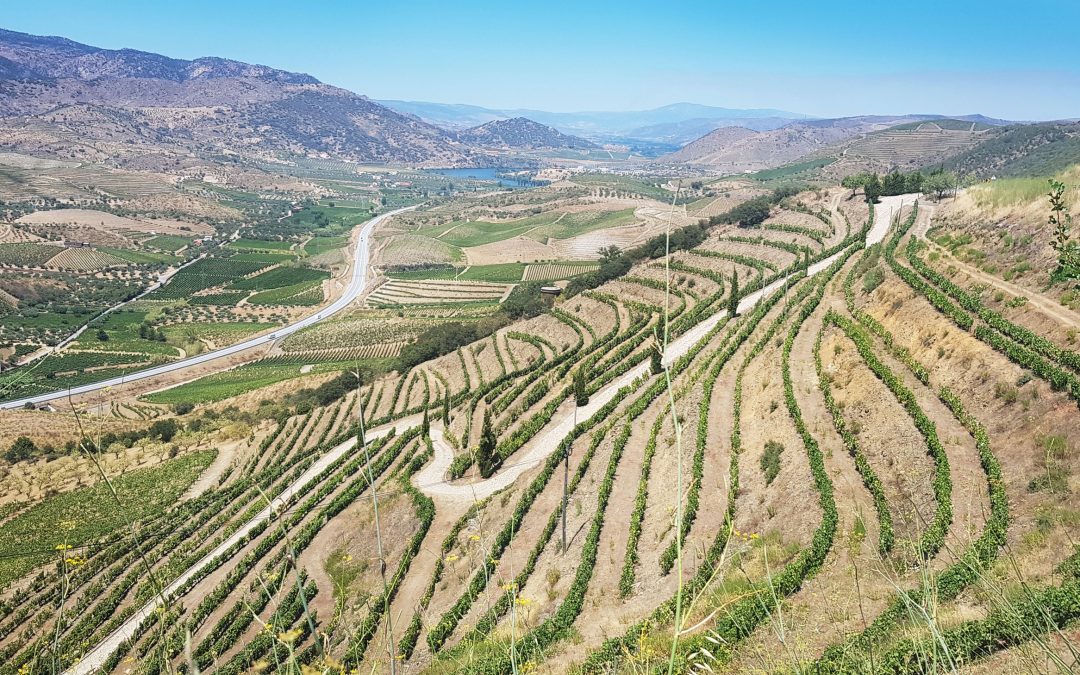 Douro Valley      €1,425            Portugal      7 DAYS