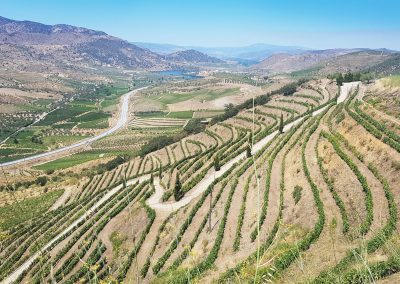 Douro Valley      €1,425            Portugal      7 DAYS    NEW