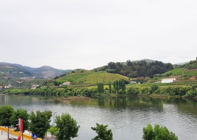 Views of the Douro on your Bike Trip