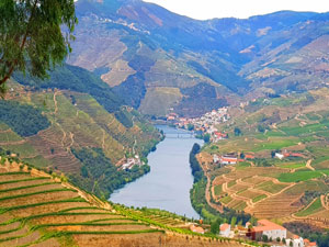 Cycle Tour in the Douro Valley