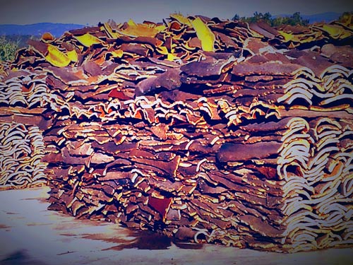 Cork Portugal's Sustainable Crop - Cork Bark, cut and ready to be Processed