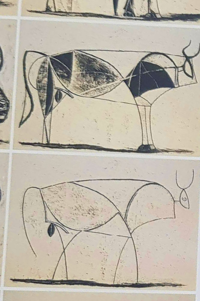 Picasso Sketch of Bull