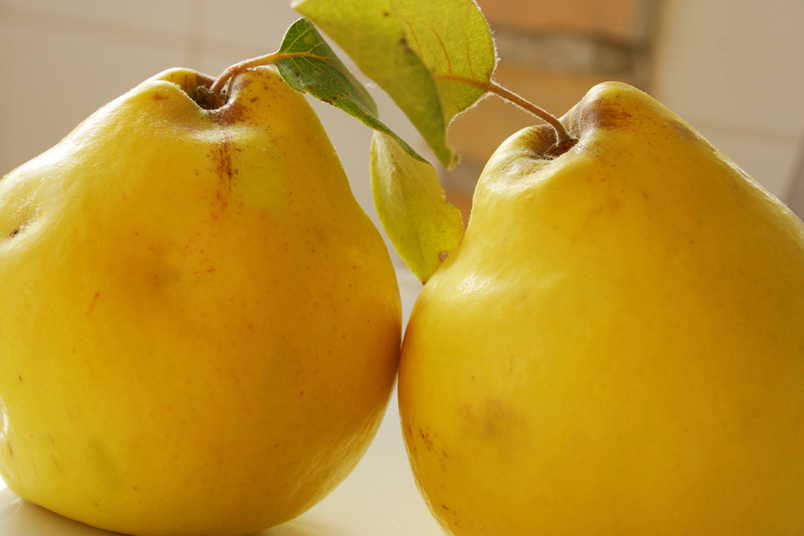 Traditional Spanish Food Quince Fruit