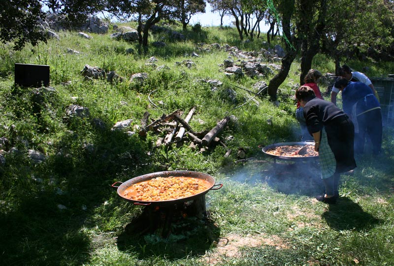 Traditional Cooking of Paella in an orchard