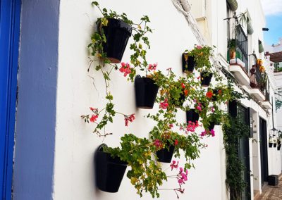 Street Flowers in Nerja, in Southern Spain