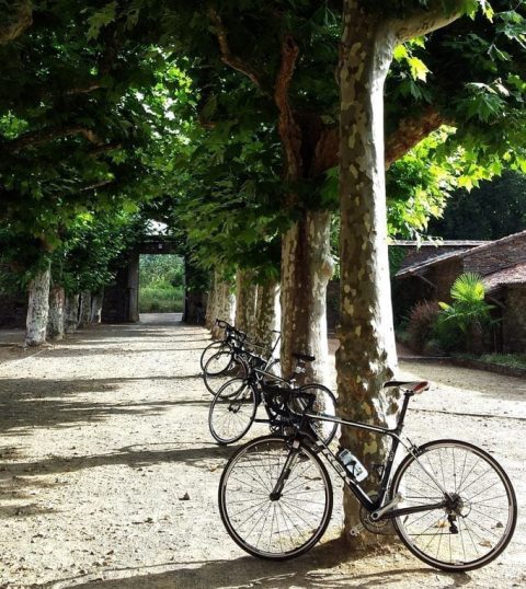 spanish bike tours