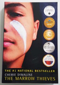 Canada's Best Books by First Nations Authors - The Marrow Thieves