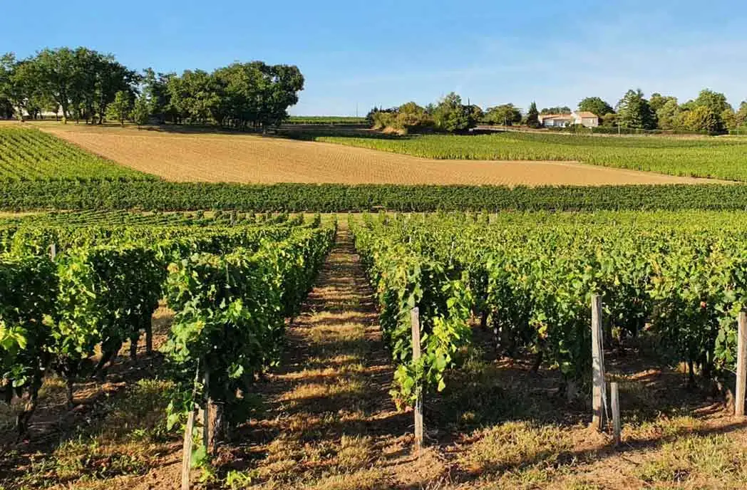 Bordeaux to Biarritz Self Guided Bike Tour in France